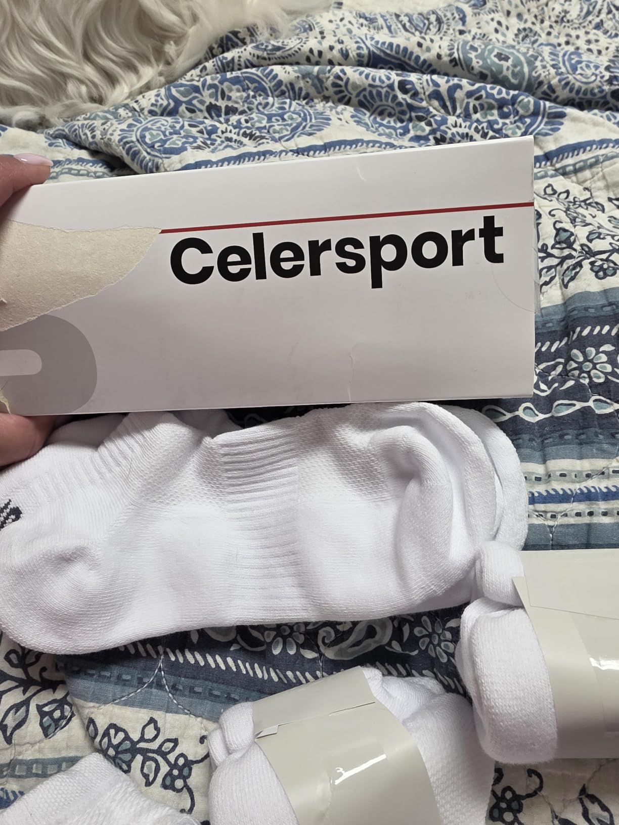 CS CELERSPORT 6 Pairs Ankle Athletic Running Socks Low Cut Sports Tab Socks for Men and Women customer photo 1