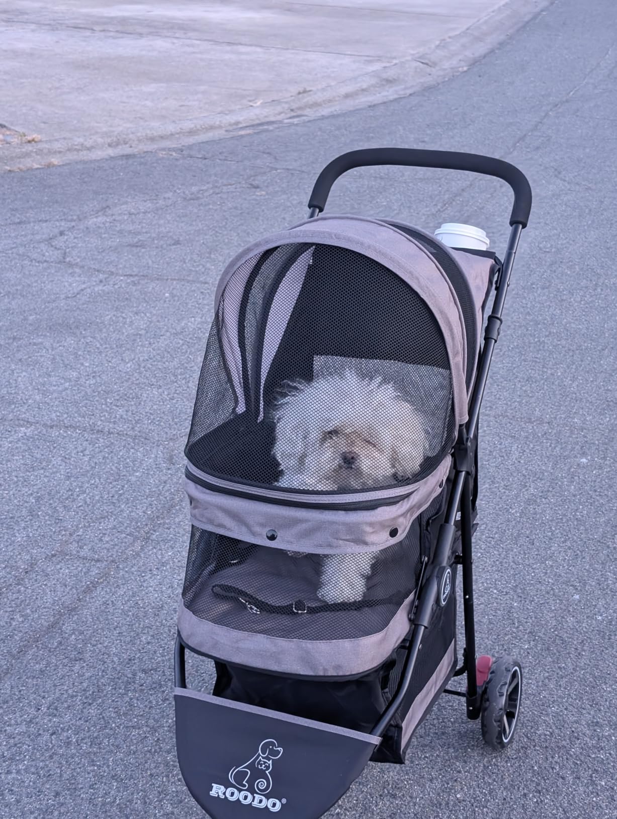 ROODO Escort 3 Wheel Dog Cat Pet Stroller for Small/Medium Dogs Cats Best Lightweight Foldable Portable Compact Jogger All Terrain Travel Pet Gear System Puppy Doggie Bunny Kitty Stroller(Grey) customer photo 1