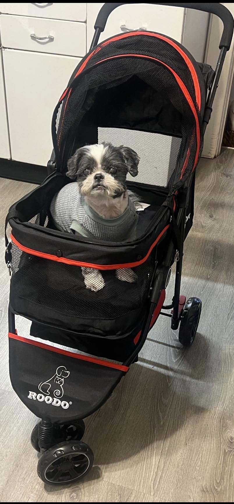 ROODO Escort 3 Wheel Dog Cat Pet Stroller for Small/Medium Dogs Cats Best Lightweight Foldable Portable Compact Jogger All Terrain Travel Pet Gear System Puppy Doggie Bunny Kitty Stroller(Grey) customer photo 2