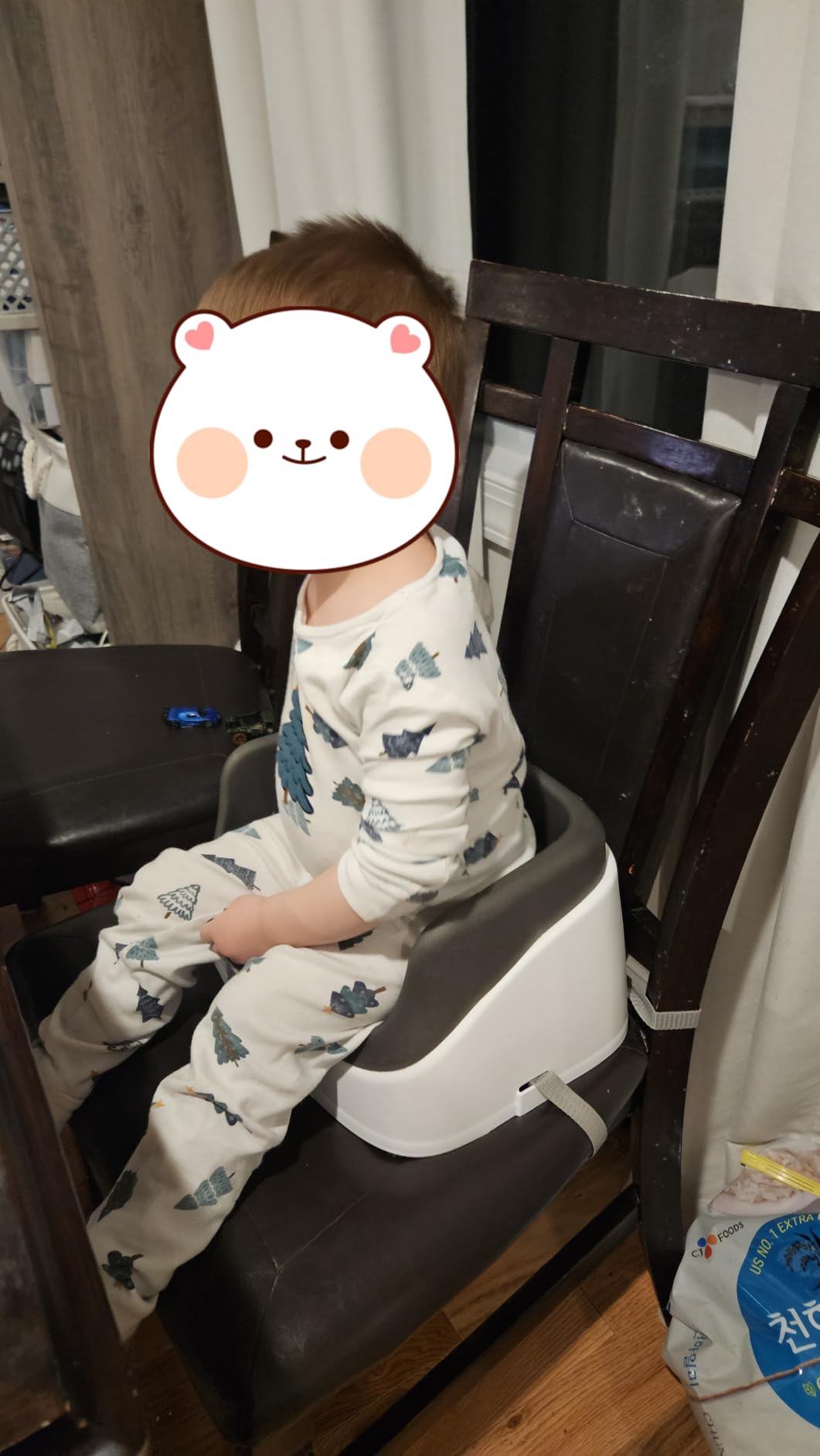 Ingenuity SmartClean Toddler Booster Seat for Kitchen Chair - Lightweight for on-the-go, Easy-Clean, 3-Point Harness Strap customer photo 2