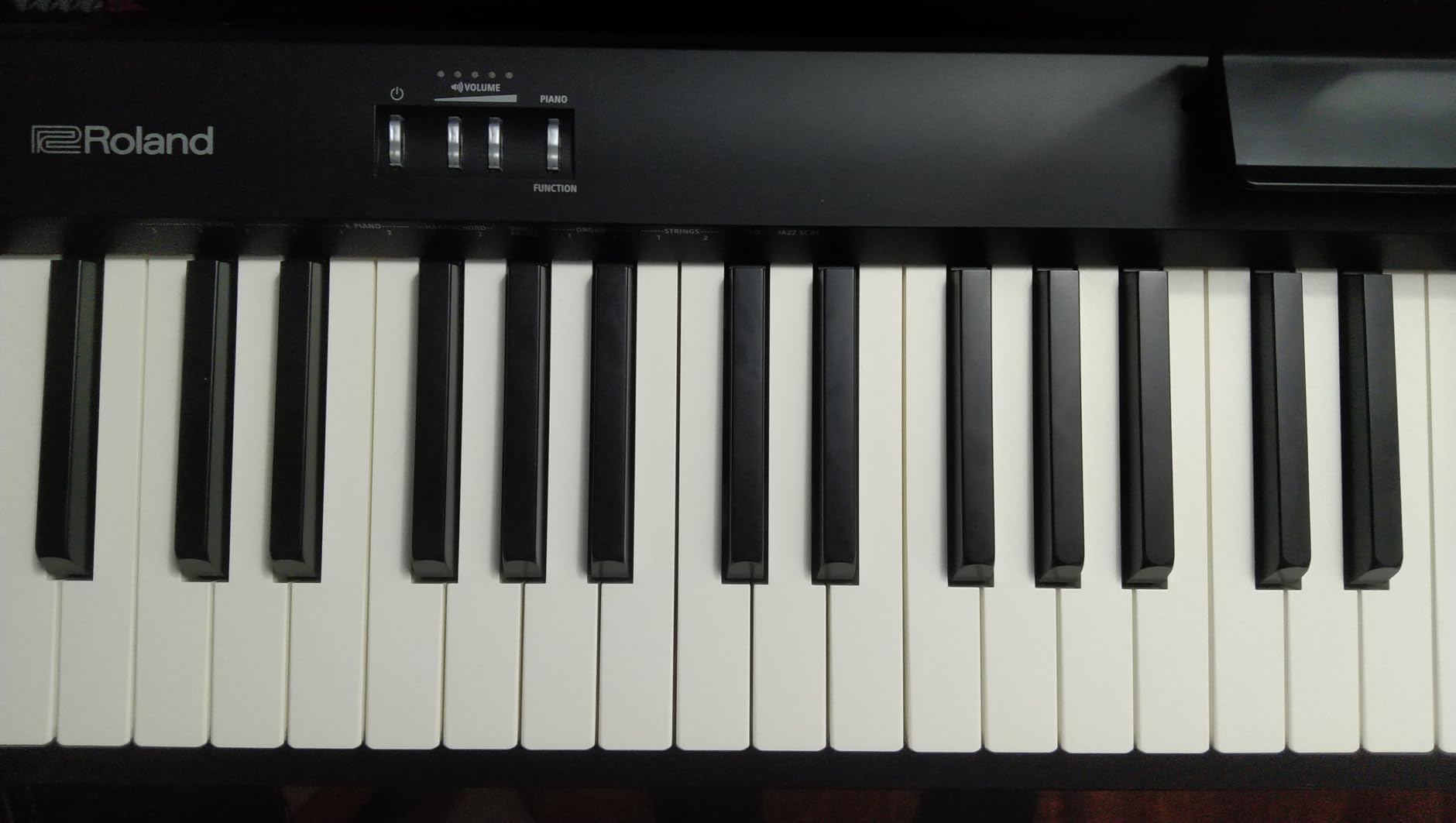 Roland FP-10 Compact 88-Note Digital Piano with SuperNATURAL Piano Tones customer photo 2