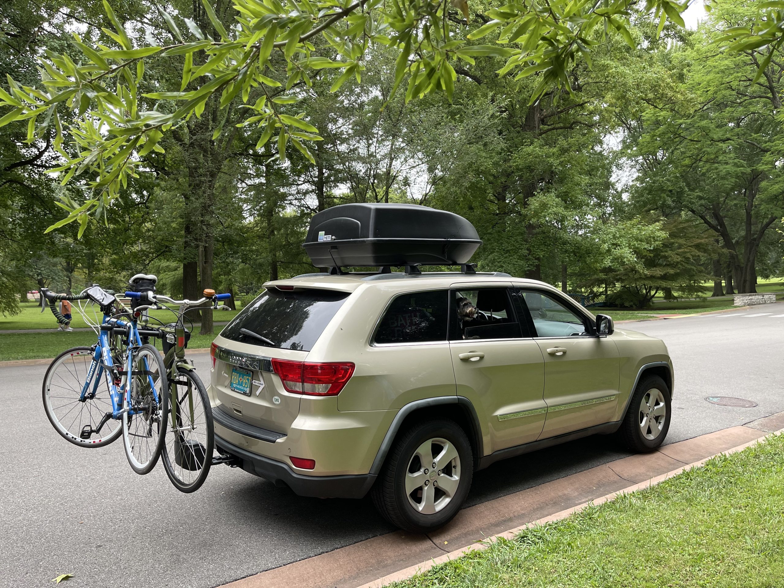 Thule Apex XT Bike Hitch Rack customer photo 1