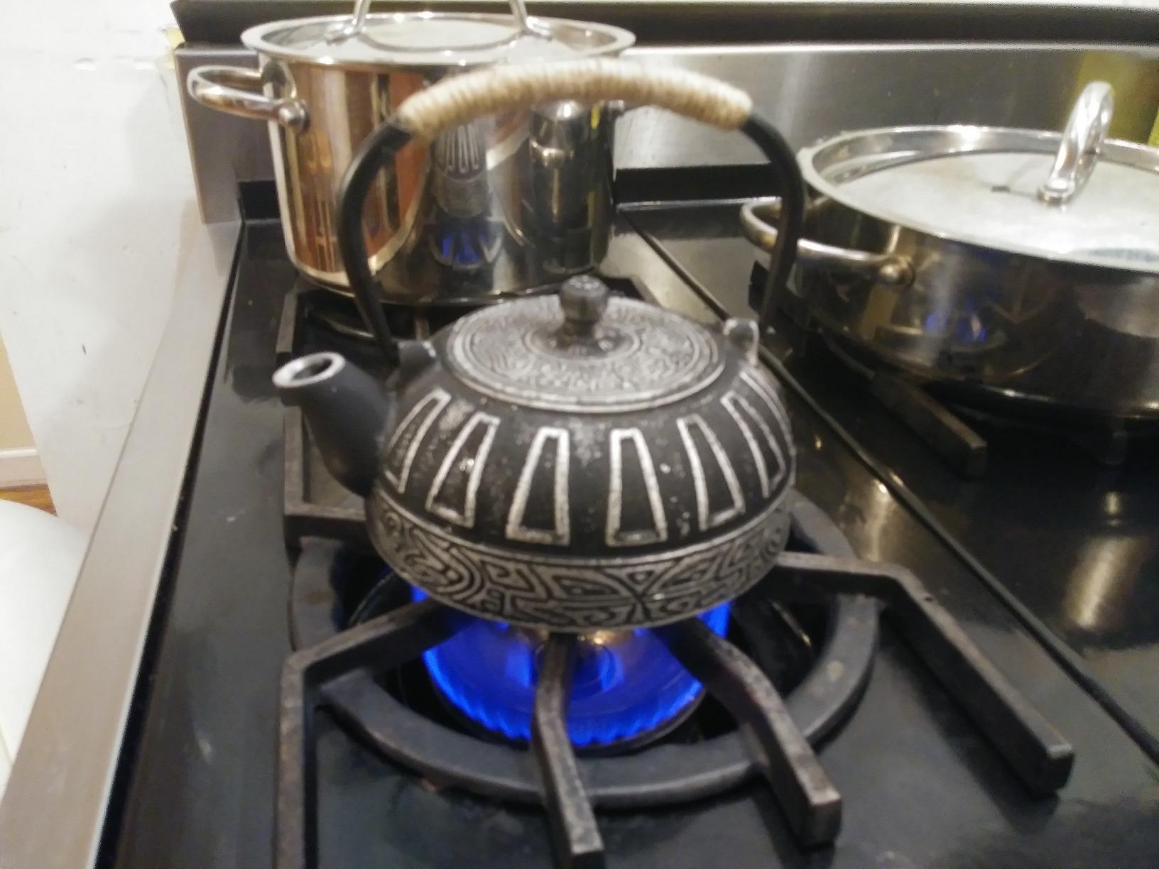 Japanese Style Cast Iron Teapot Set Tetsubin Kettle with Infuser | Tetsubin Kettle with Trivet 4 Tea Cups Hemp Rope Asian Gift for Adults Parents (Fish Scale Pattern, Blue, Anti Rust) customer photo 2