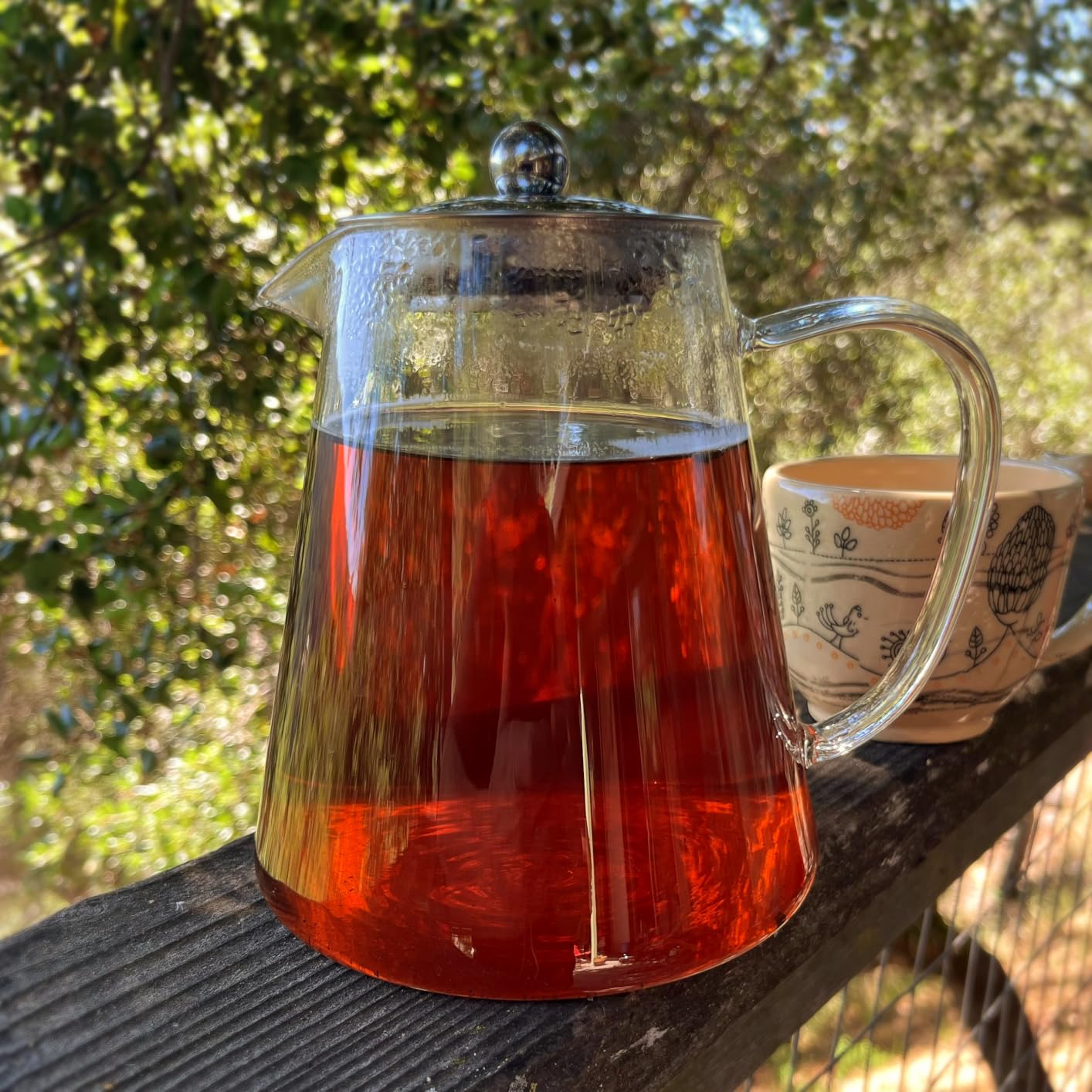 TMOST Glass Teapot with Infuser Tea Pot 950ml/32oz Tea Kettle Stovetop Safe Blooming and Loose Leaf Tea Maker Set (32oz/ 950ml) customer photo 1
