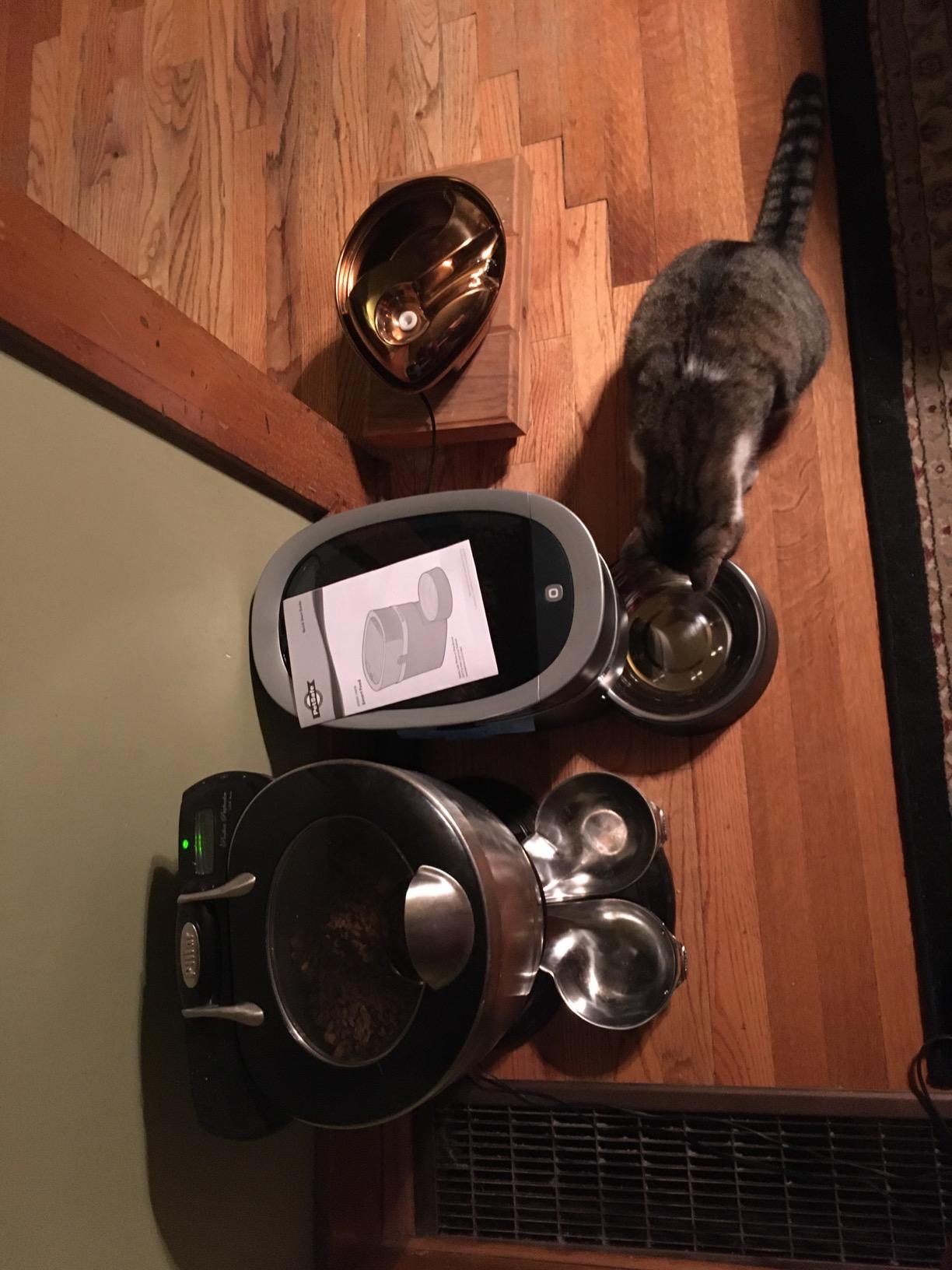 PetSafe Smart Feed, Electronic Pet Feeder for Cats & Dogs, 6L/24 Cup Capacity, Programmable Mealtimes, Alexa, Apple & Android Compatible, Backup Batteries Ensure Meal Delivery During Power Outage customer photo 2