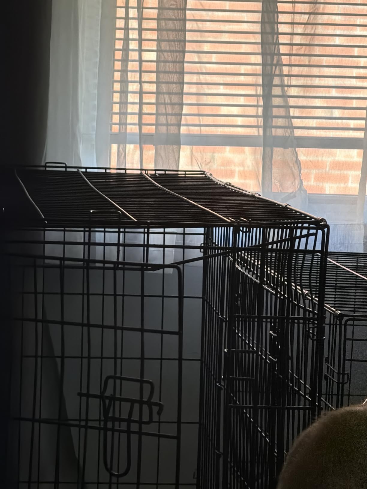 BestPet | Dog Crate | 48