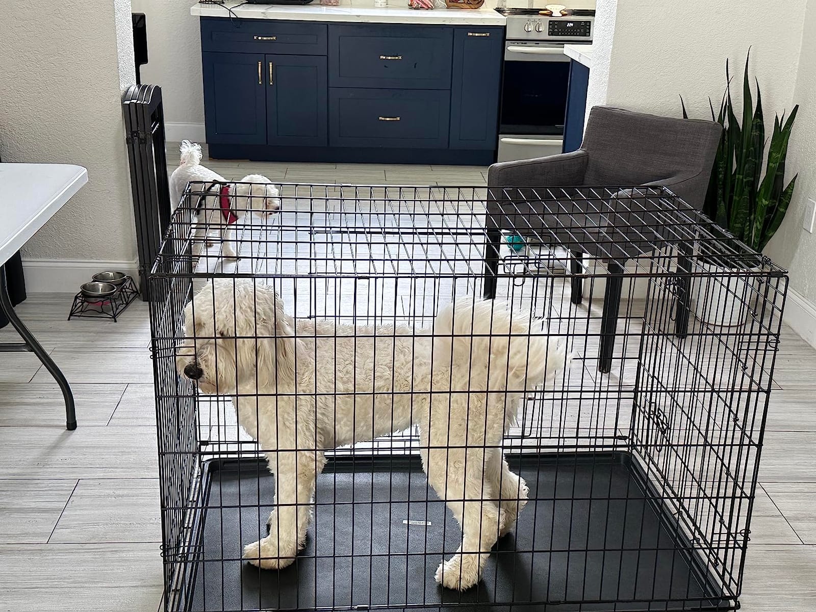 BestPet | Dog Crate | 48