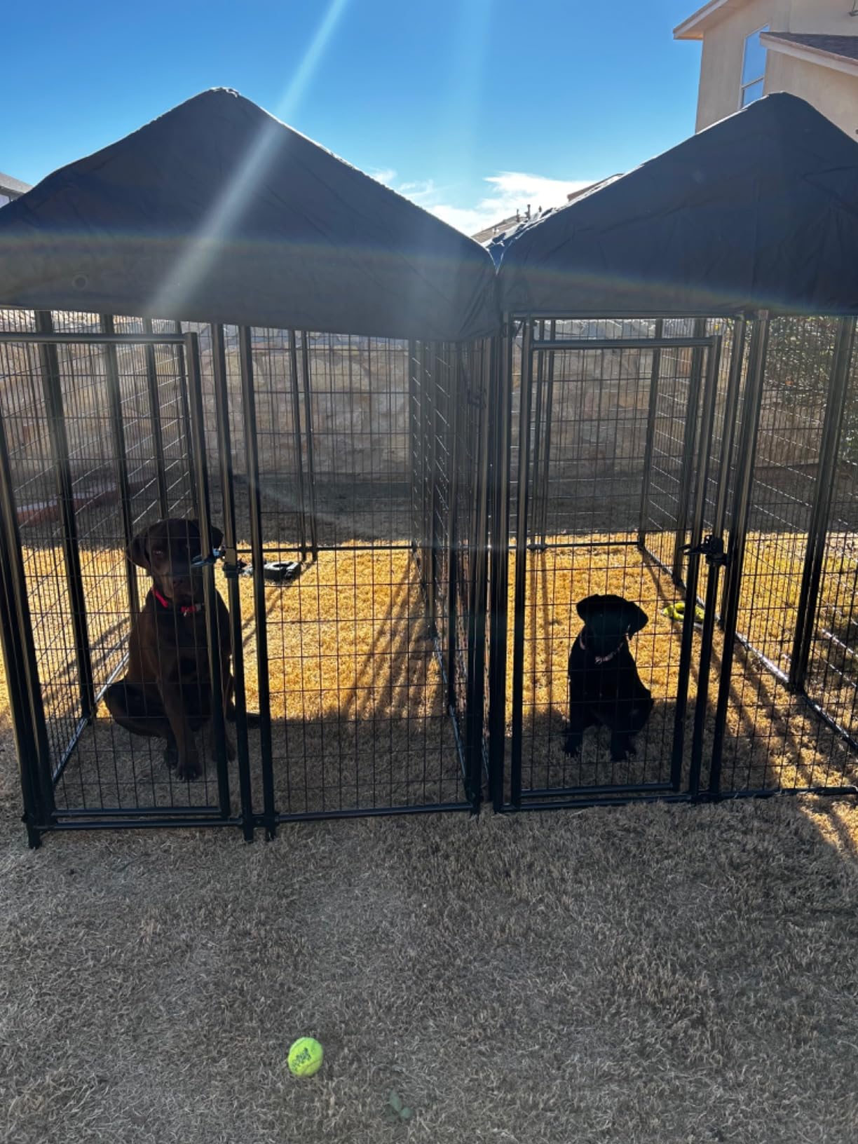 Amazon Basics Welded Rectangular Outdoor Secure Wire Crate Kennel for Cat, Dog Large, Black, 102 x 48 x 72 inches customer photo 1