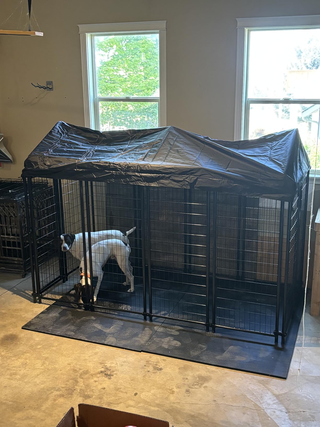Amazon Basics Welded Rectangular Outdoor Secure Wire Crate Kennel for Cat, Dog Large, Black, 102 x 48 x 72 inches customer photo 2