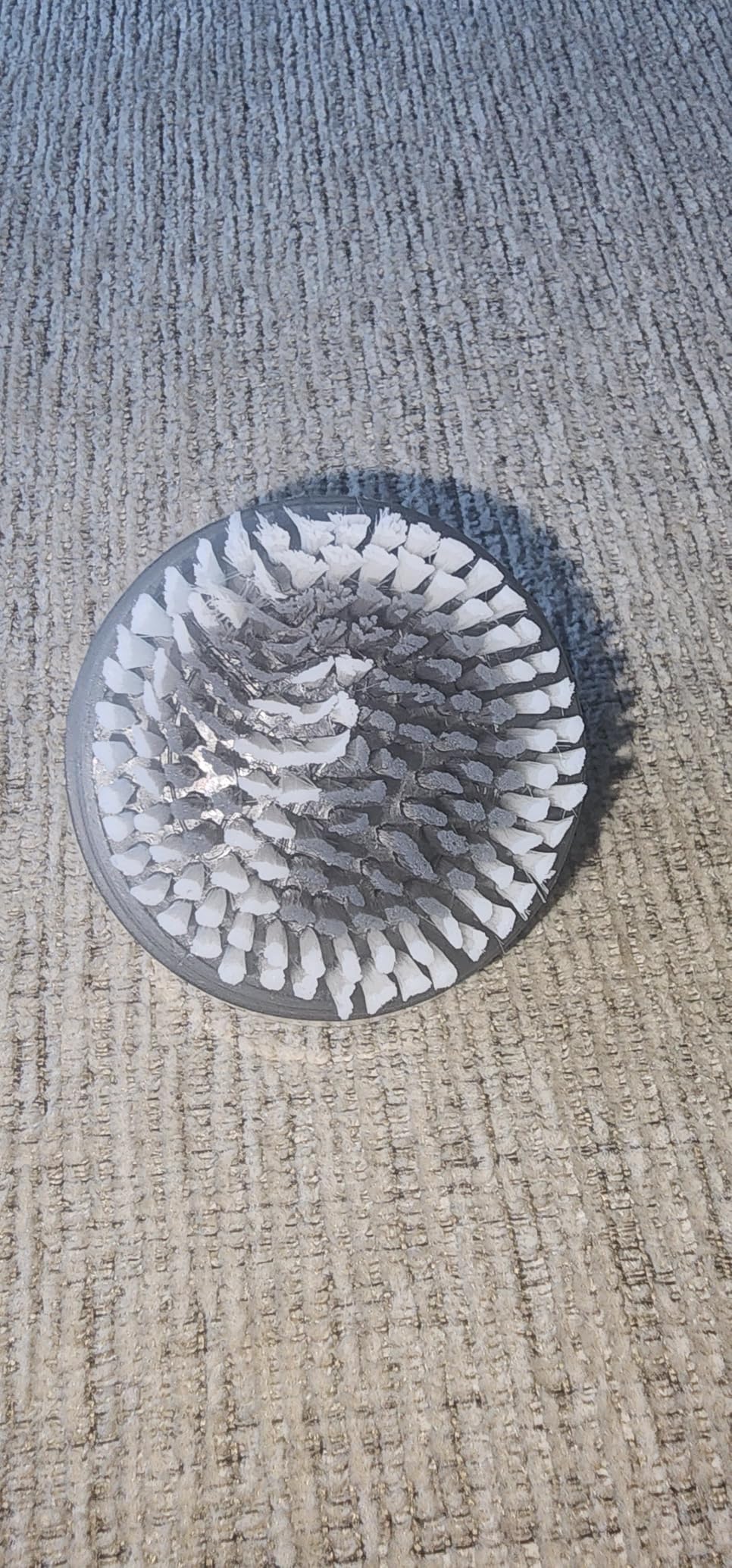 EcoTools Deep Cleansing Facial Brush, Manual Facial Cleansing Brush - Exfoliates and Deeply Cleanses, Remove Makeup and Dry Skin customer photo 2