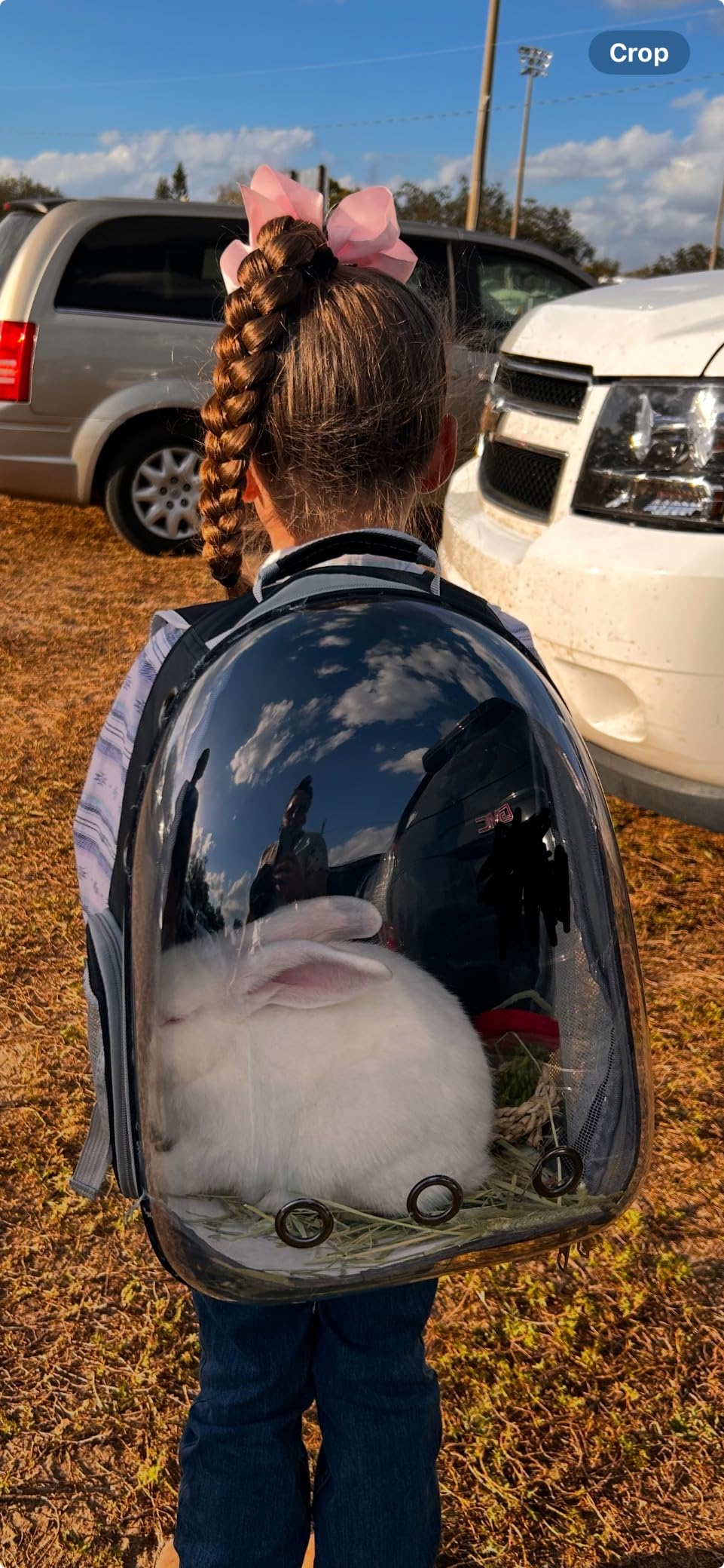 Cat Backpack Carrier Breathable Pet Travel Bag with Full Transparent Dome customer photo 1