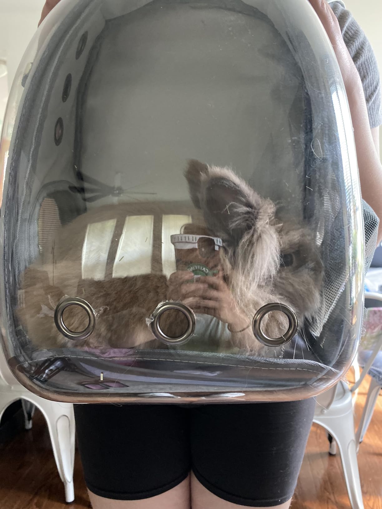 Cat Backpack Carrier Breathable Pet Travel Bag with Full Transparent Dome customer photo 2