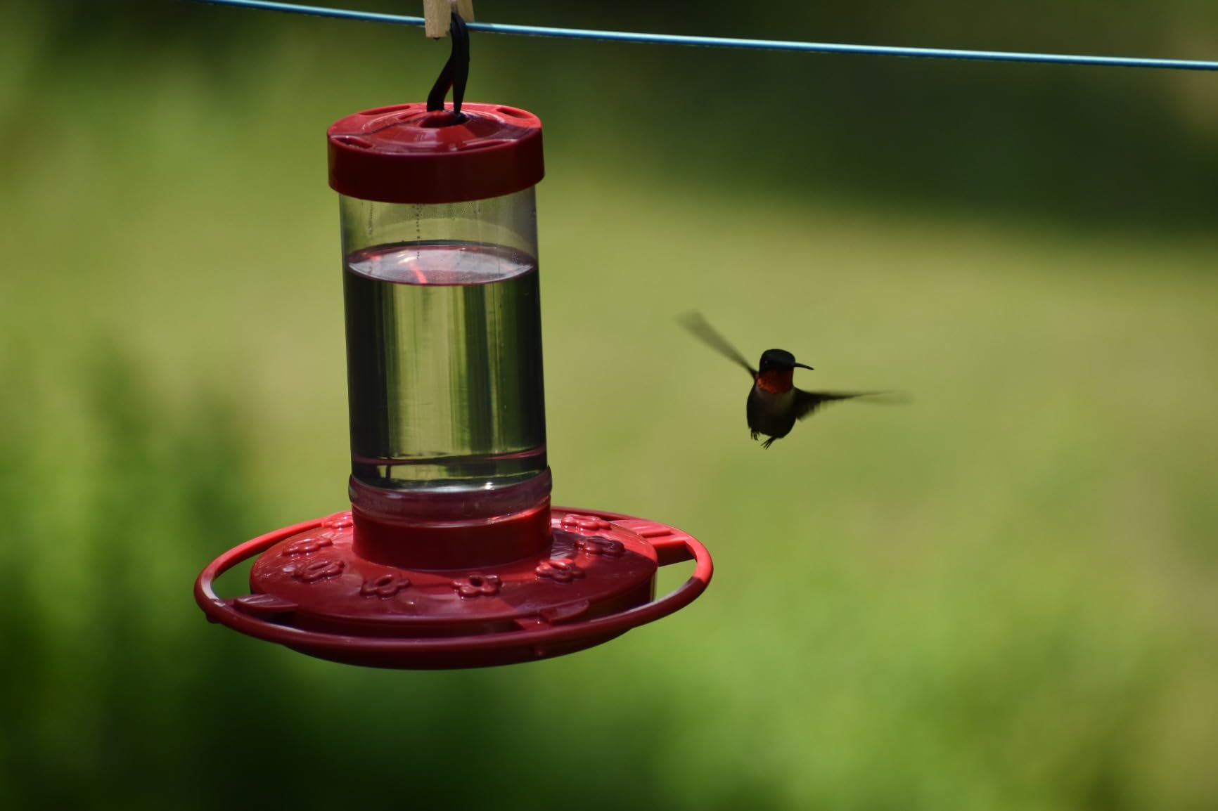Hummingbird Feeder [Set of 2] Leakproof Clear Plastic 10 oz Wide Mouth. | Features A Built-in Ant Guard - Circular Perch with 5 Feeding Ports - Wide Mouth/2 Part Base for Easy Filling & Cleaning. customer photo 2