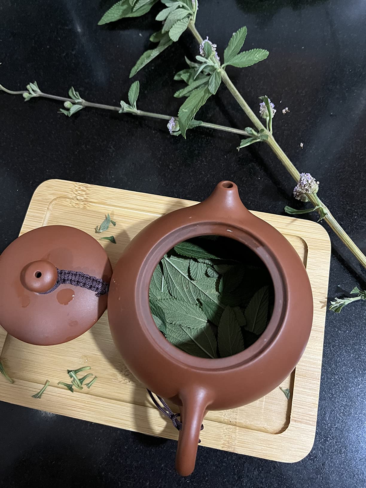 Queena Yixing Purple Clay Tea Set, Kung Fu Teapot with 4 Cups & Travel Bag | Complete 8-Piece Set with Bamboo Tray, Tea Towel and Padded Carrying Bag customer photo 1
