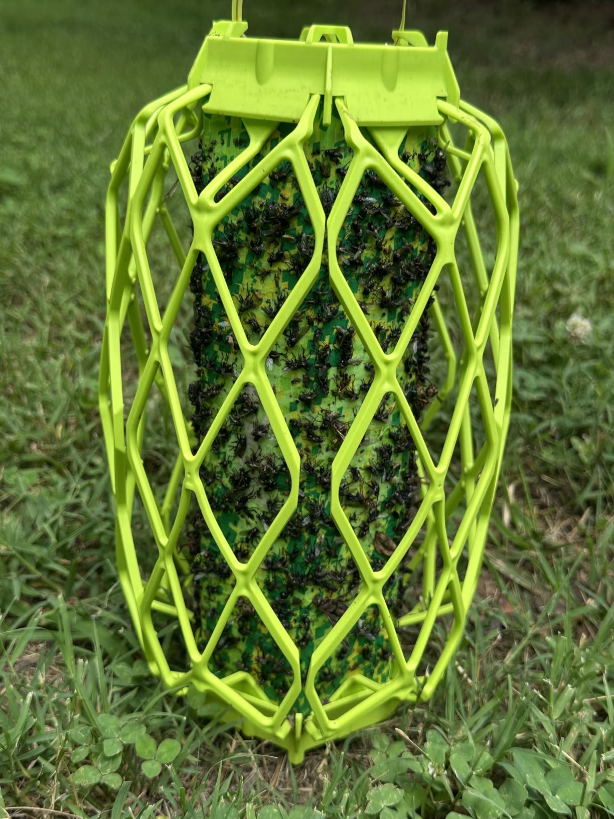 RESCUE! VisiLure TrapStik for Wasps, Mud Daubers, Carpenter Bees - 2 Pack customer photo 1