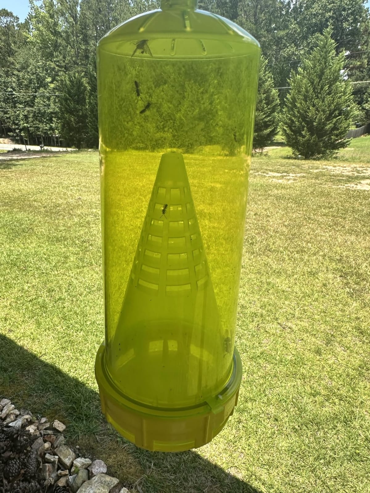 RESCUE! Reusable Yellowjacket Trap - Includes Attractant - 2 Traps customer photo 1