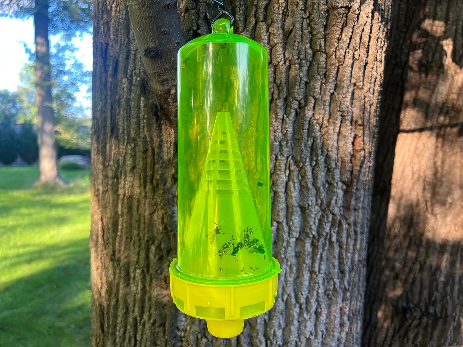 RESCUE! Reusable Yellowjacket Trap - Includes Attractant - 2 Traps customer photo 2