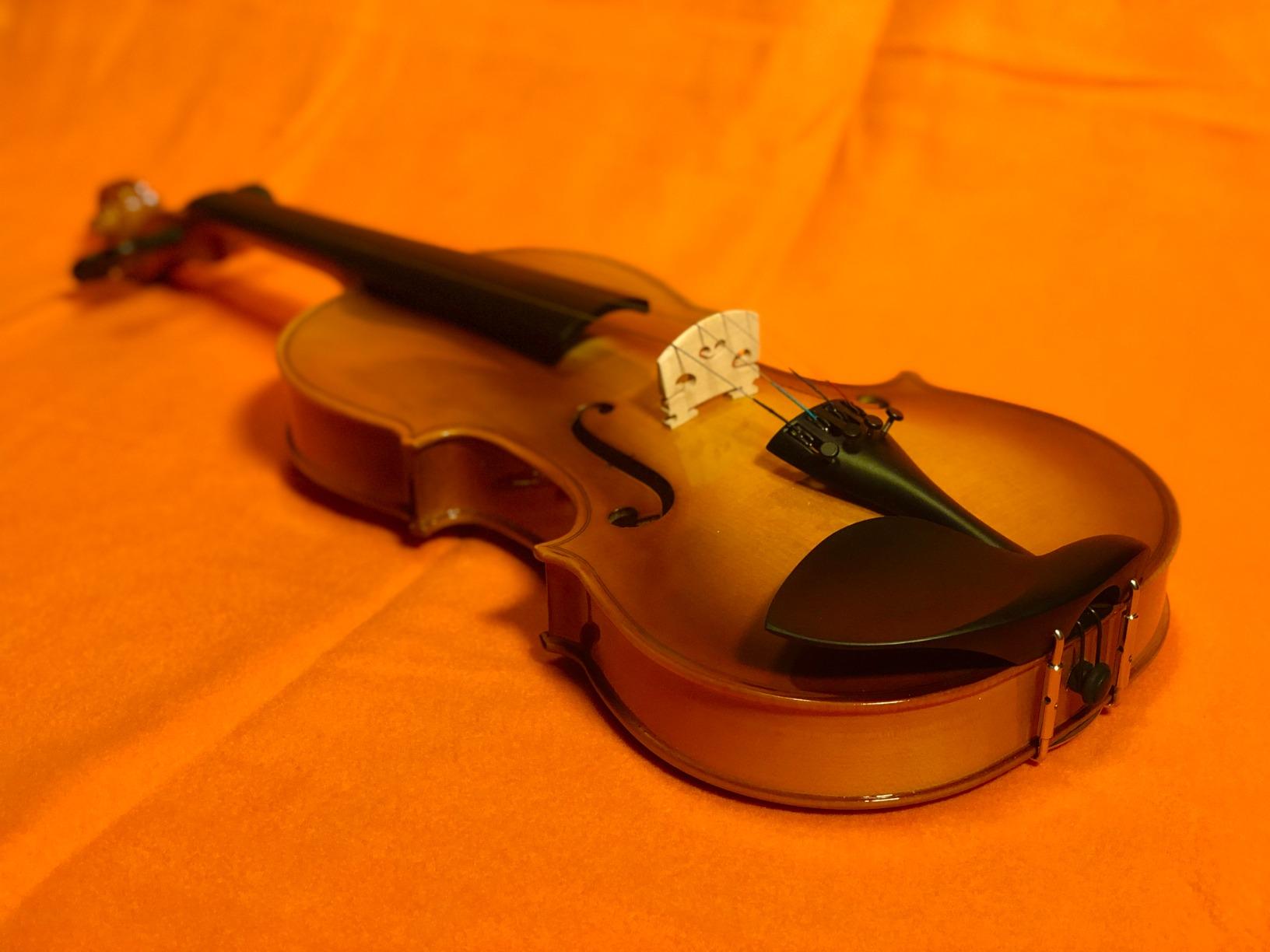 Eastar 4/4 Violin Set Full Size Fiddle Solidwood for Adults with Hard Case, Shoulder Rest, Rosin, Two Bows, Clip-on Tuner and Extra Strings, EVA-330 customer photo 1