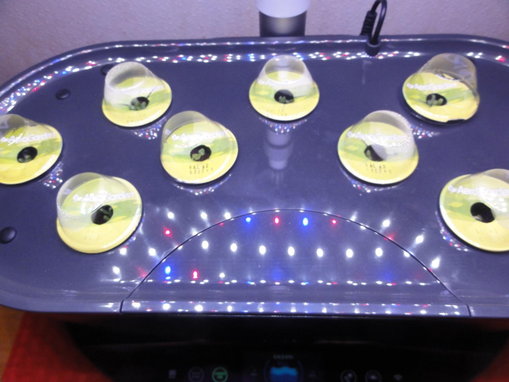 AeroGarden Bounty, White | Indoor Garden with LED Grow Light, WiFi and Alexa Compatible customer photo 2