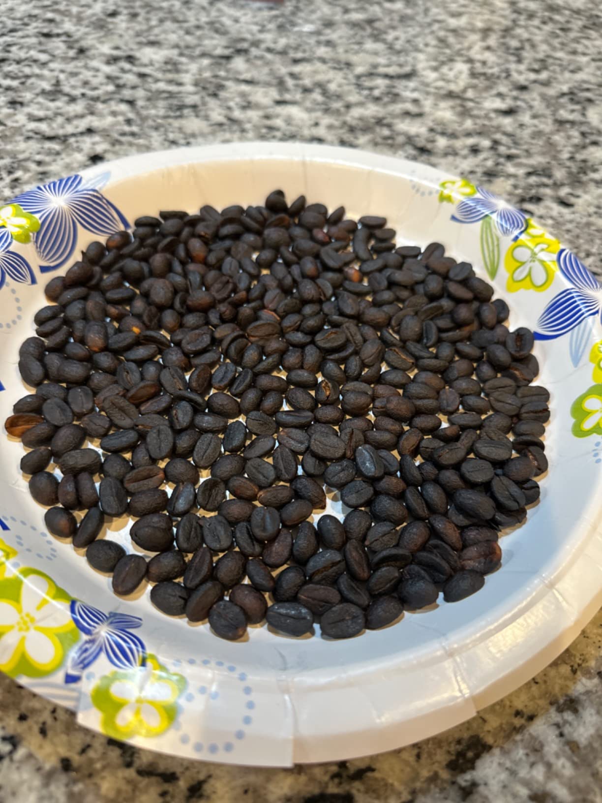 Coffee Roaster Machine for Home Use, 800g Capacity Electric Coffee Bean Roaster Machine with Timer 0-240℃ Non-Stick for Cafe Shop, Nut, Peanut, Black Bean, Soybeans 110V 1200W customer photo 1