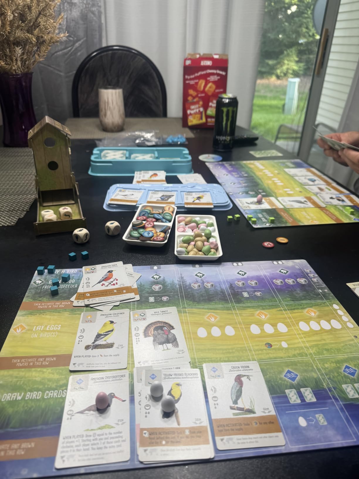 Stonemaier Games: Wingspan by Elizabeth Hargrave | A Relaxing, Award-Winning Strategy Board Game About Collecting Birds for Adults and Family | 1-5 Players, 70 Mins customer photo 2