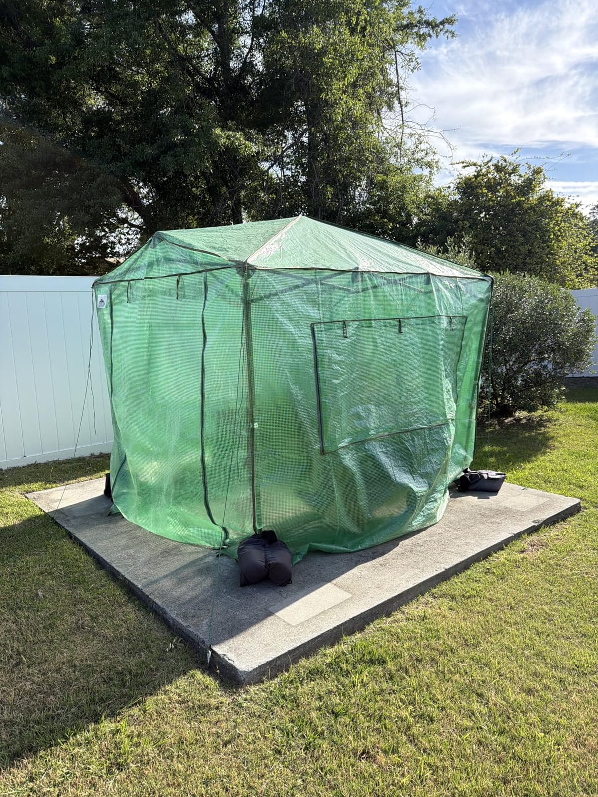 EAGLE PEAK 8x6 Easy Setup Pop Up Greenhouse, Clear/Green, Walk-In Greenhouses for Outdoors, Roll-Up Doors & Mesh Windows, One Person Setup customer photo 2