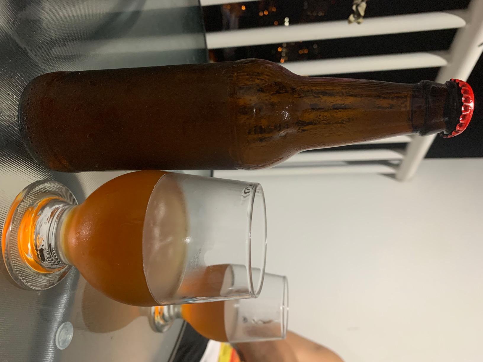 Northern Brewer - Siphonless 1 Gallon Craft Beer Making Starter Kit, Equipment and Beer Recipe Kit (Kama Citra IPA) customer photo 2
