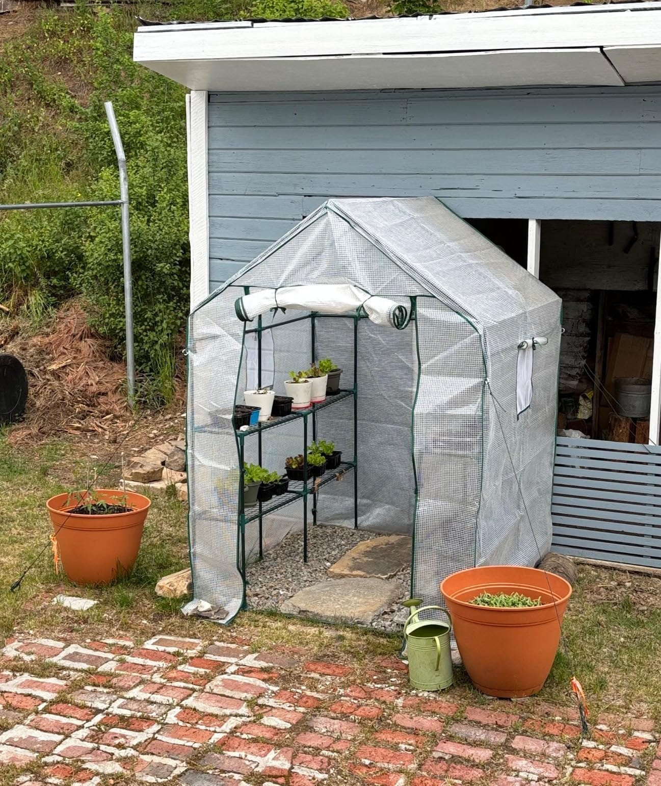 Portable Walk-in Greenhouse for Outdoors, 56x30x76 Plant House with Shelves, Green PE Cover, Roll-Up Door, 3-Tier Shelves, Steel Frame customer photo 1