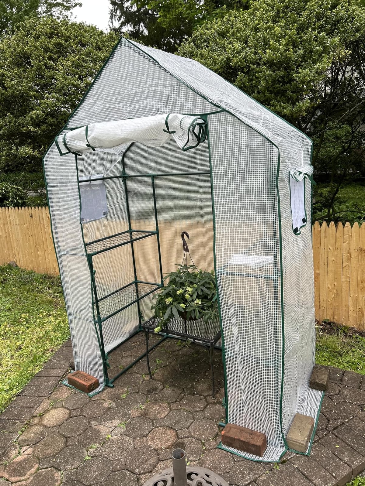 Portable Walk-in Greenhouse for Outdoors, 56x30x76 Plant House with Shelves, Green PE Cover, Roll-Up Door, 3-Tier Shelves, Steel Frame customer photo 2