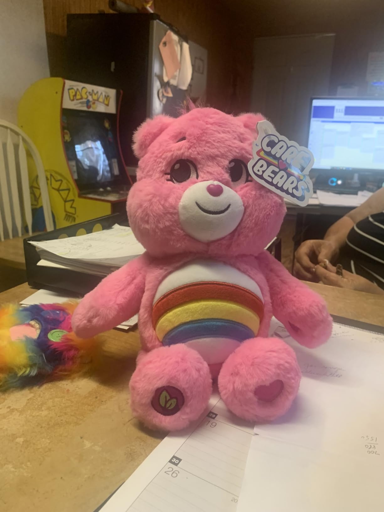 Care Bears 14