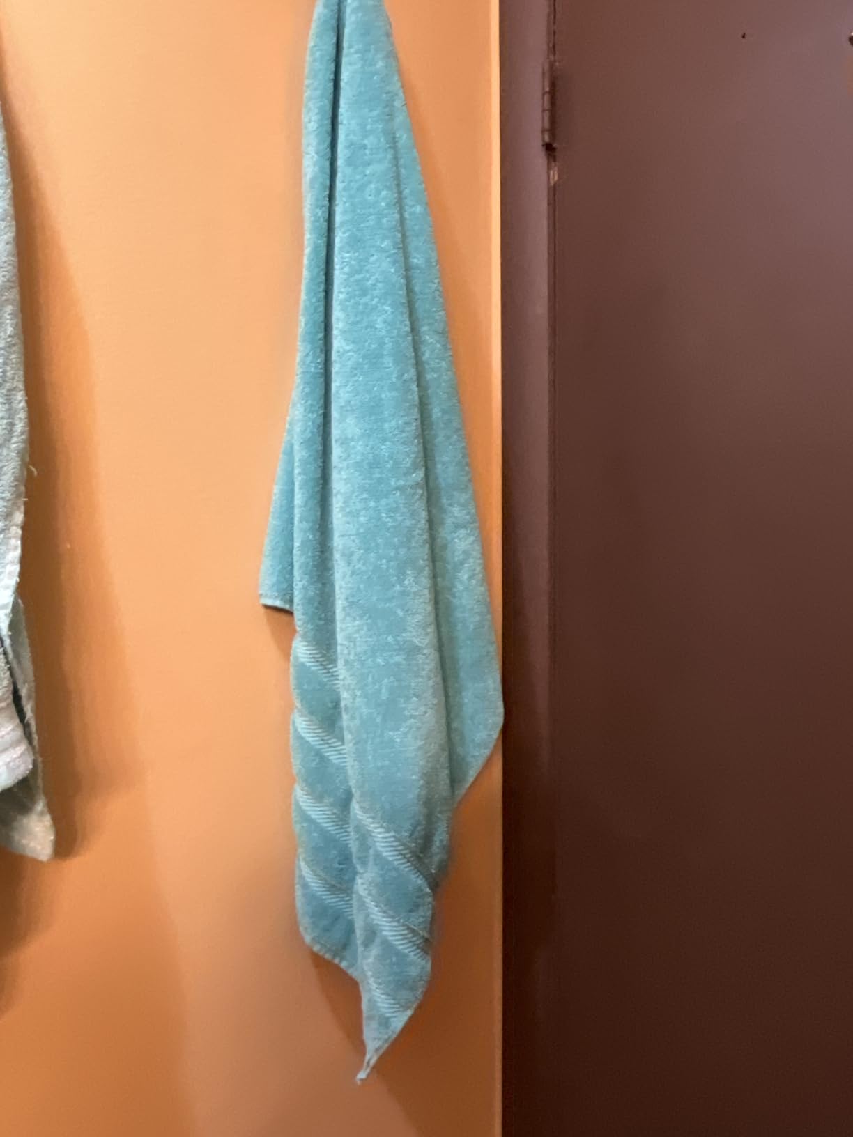 American Soft Linen 100% Cotton Luxury Turkish Towels, 40x80 XL Bath Sheet | Soft Absorbent Quick Dry OEKO Tex Standard 100 Certificated Durable Machine Washable Premium Hotel Quality customer photo 1
