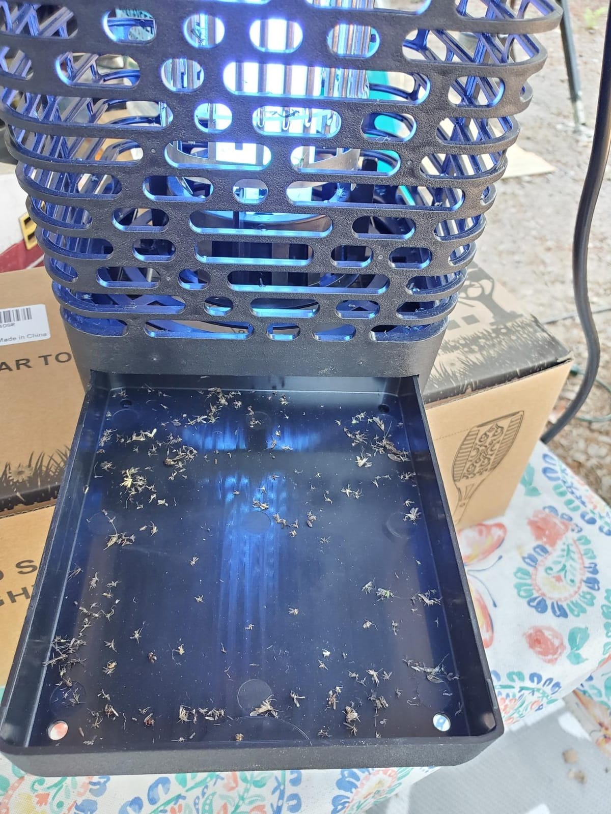 BLACK+DECKER Bug Zapper- Mosquito Repellent Outdoor & Fly Traps for Indoors- Mosquito Killer & Fly Zapper - Gnat & Moth Traps for Home, Deck, Garden, Patio & More customer photo 2