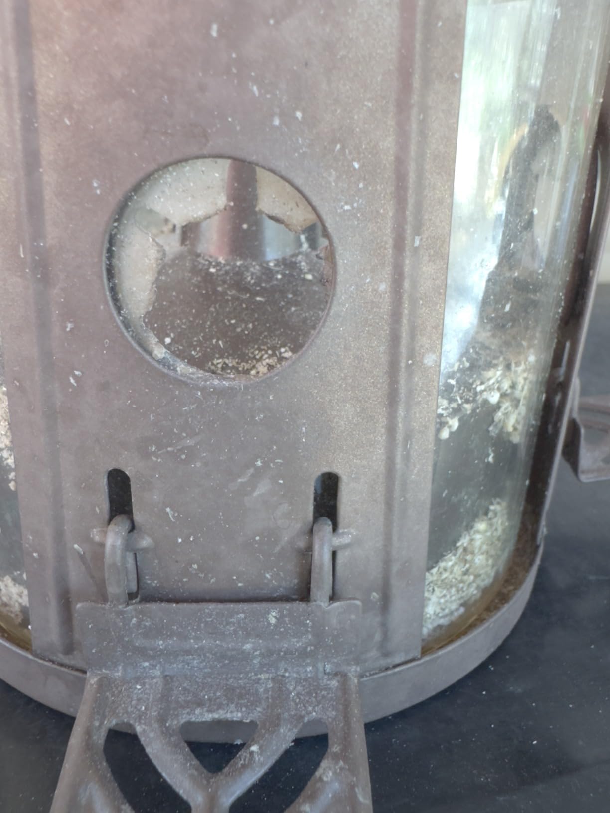 Perky-Pet Squirrel-Be-Gone Max Bird Feeder, (4) Flexport Feeding Stations | Squirrel-Proof Metal Hanging Feeder for Outdoors, Weight-Activated Ladder-Style Perches, 4lb Seed Capacity, 334-1SR customer photo 2