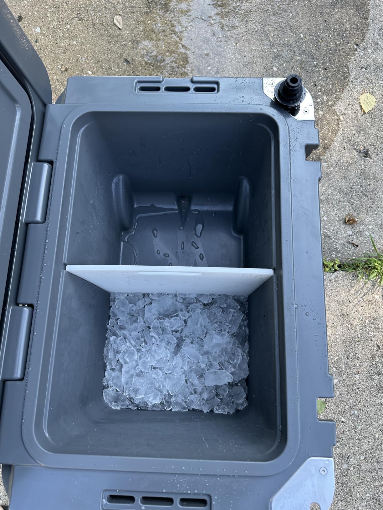Blue Coolers Ice Vault - 60 Quart Roto-Molded Ice Cooler with Wheels customer photo 2