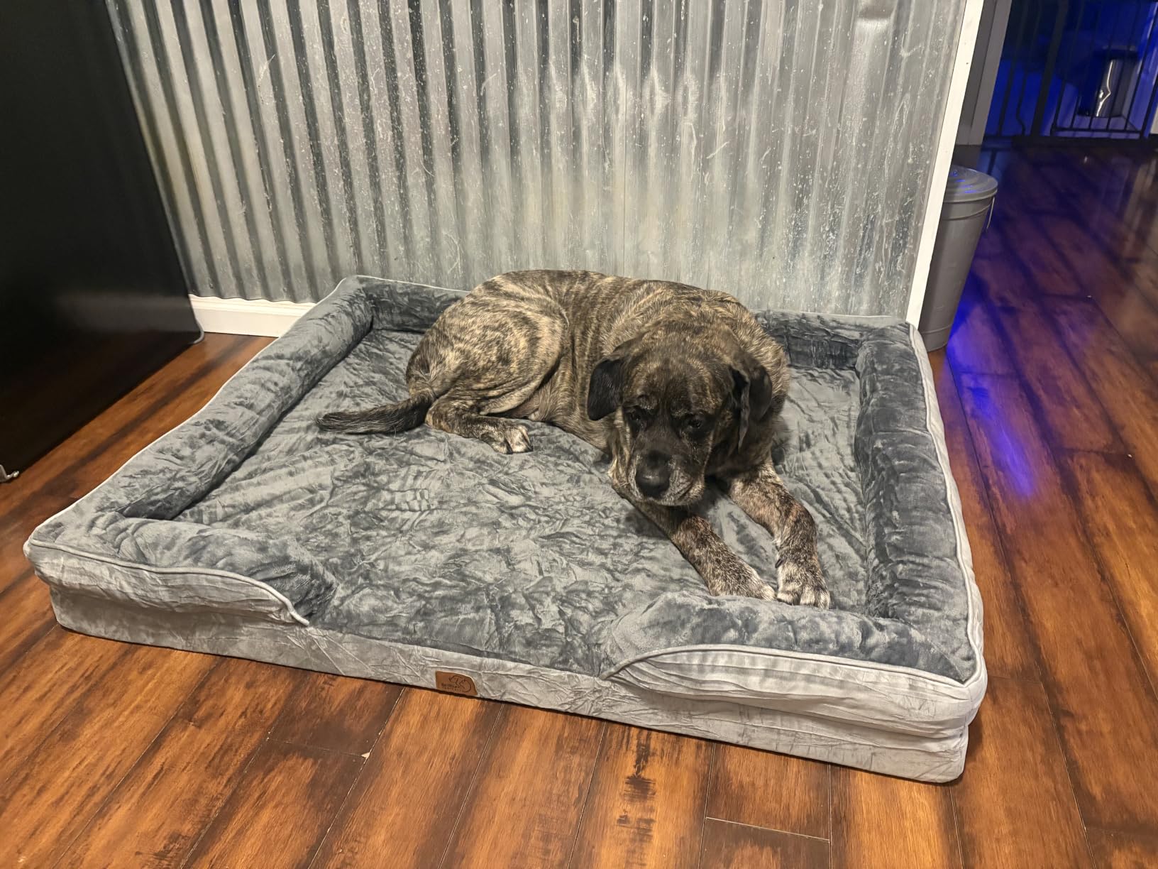 Bedsure Orthopedic Dog Beds Large Sized Dog with Removable Washable Cover | 35