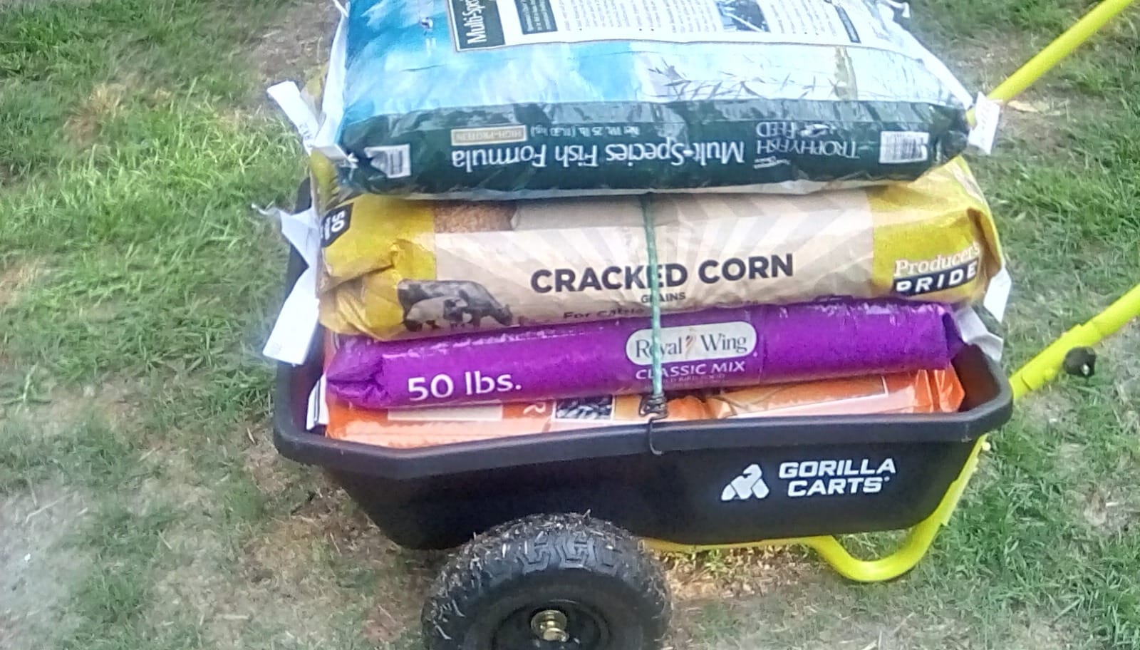 Gorilla Carts Poly Dump Cart, 2-Wheel Garden Wagon, 4 Cu Ft, 300lb Capacity | Foldable Handle, Push or pull design, Low center of gravity for stability, Easy unloading, Wheelbarrow alternative customer photo 2