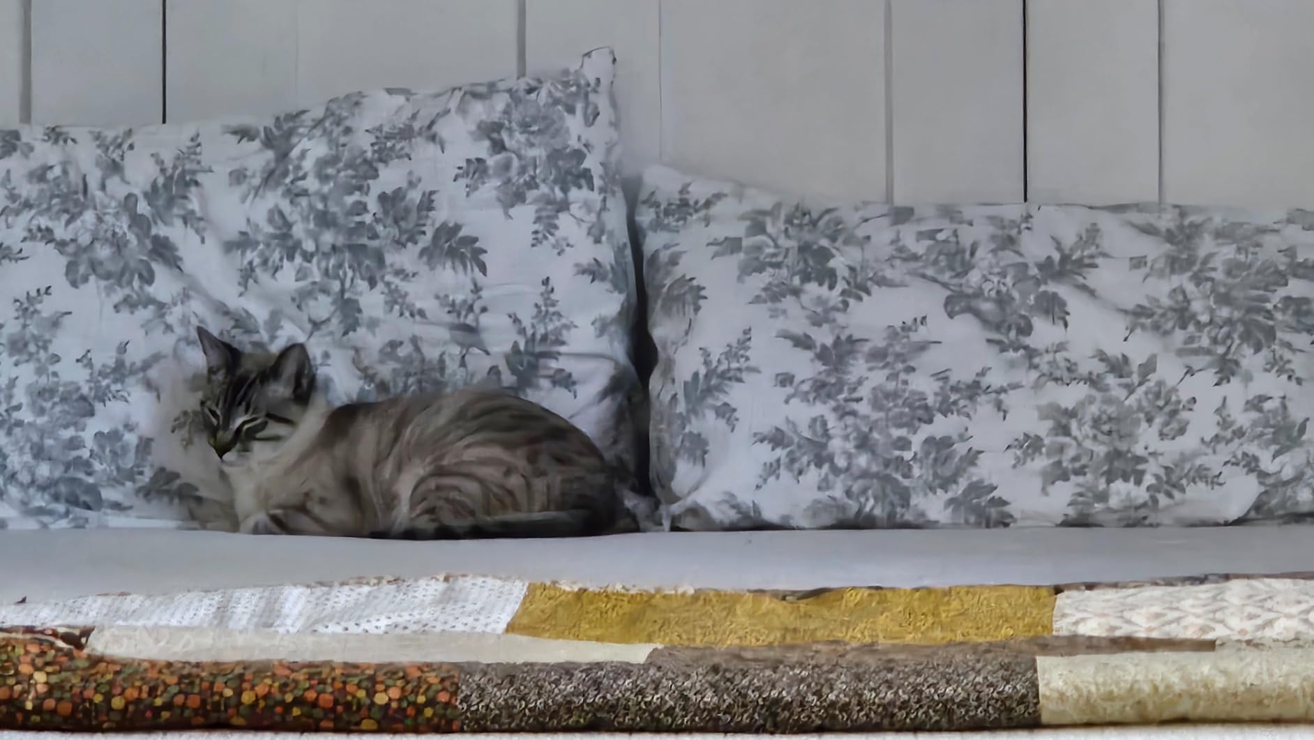 Laura Ashley - Flannel Sheets Queen Size, Anti-Pilling & Wrinkle Resistant Cotton, Touchably Soft for All-Season Comfort - Bed Sheets with Matching Pillowcases & Fitted Sheet (Fawna Grey) customer photo 1