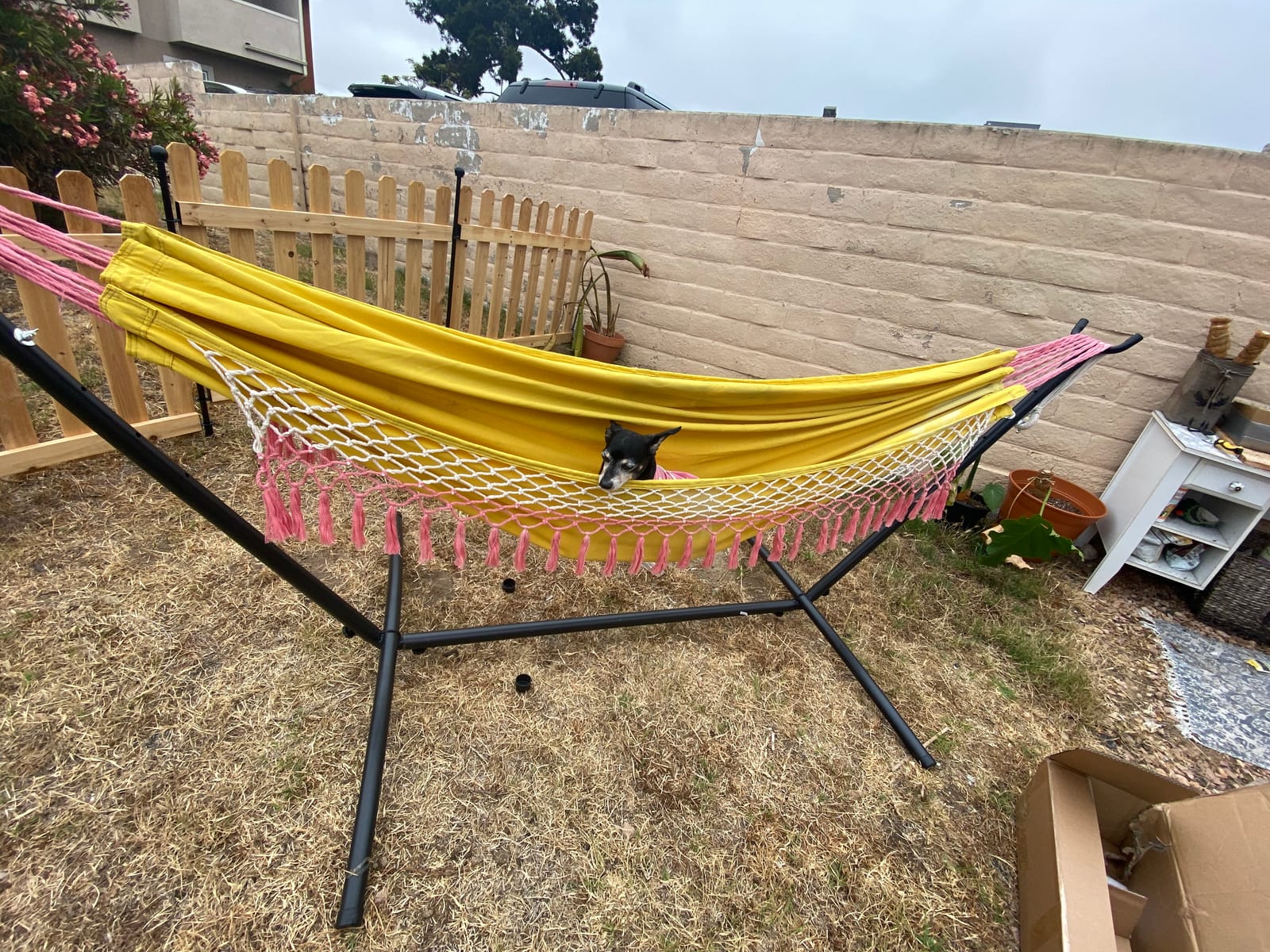 SUPER DEAL Portable 9FT Hammock Stand, Heavy Duty 2 Person 620 LBS Capacity Steel Hammock Frame with Portable Carrying Case, Adjustable 6 Optional Hook Positions, Weather Resistant Black customer photo 2