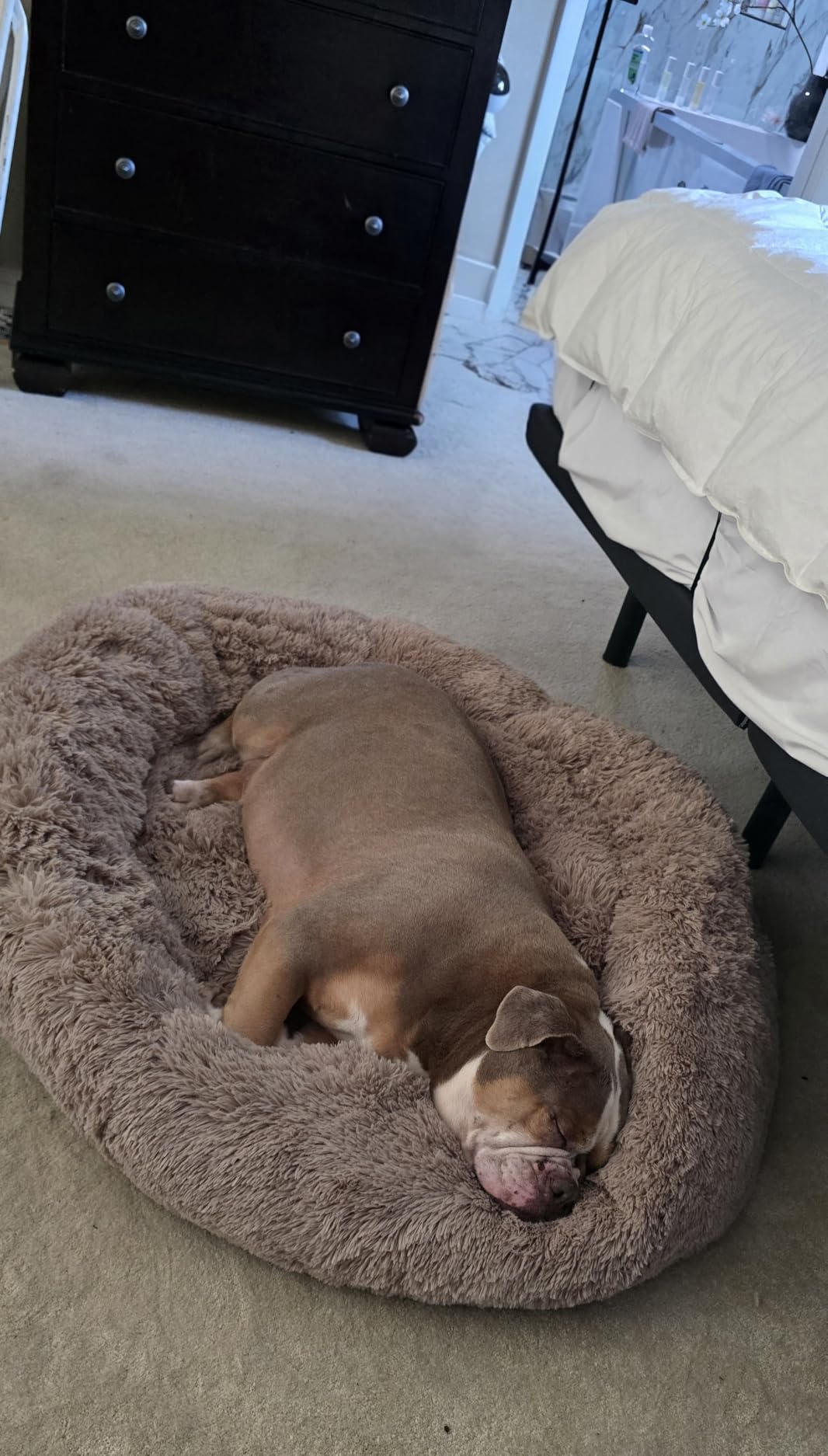 Bedsure Calming Dog Bed Medium Size Dog Donut Washable Pet Bed, 30in Camel - Fluffy Faux Fur Round Cuddler, Anti-Slip Bottom, Anti-Anxiety, Deep Sleep for Pets Up to 45 Lbs customer photo 2