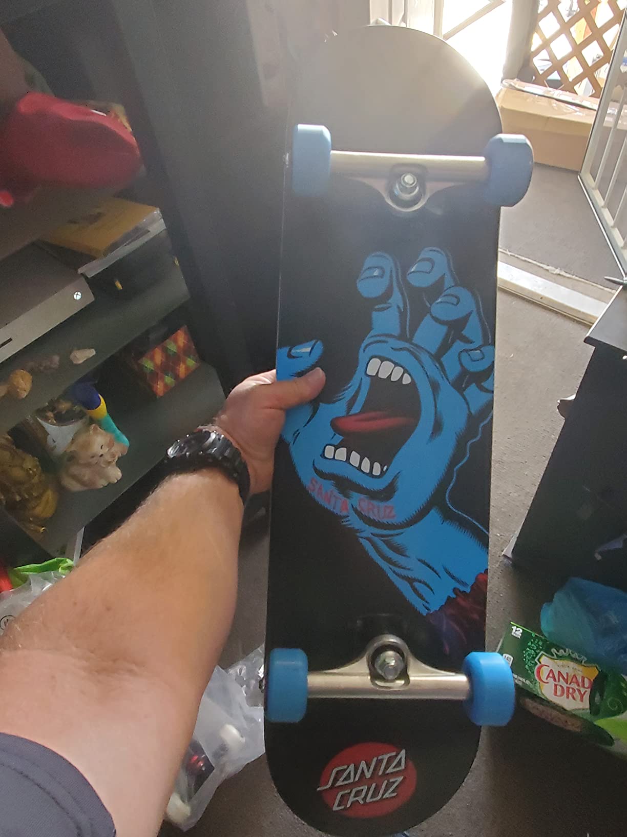 SANTA CRUZ 8.00'' x 31.25'' Skateboard Complete - Classic Dot Full customer photo 2