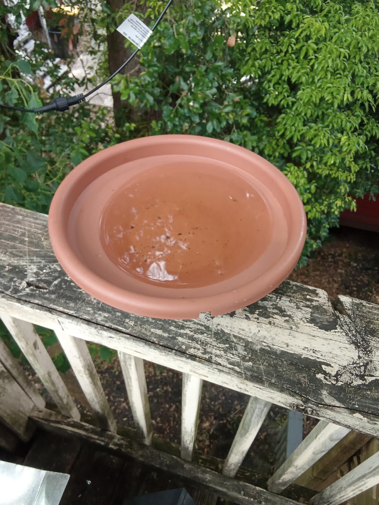 Hanizi Bird Bath Deck Mounted Bowl 12 Inches, Balcony Railing Birdbaths Unheated, Bird Bath Fence Clamp Detachable customer photo 2