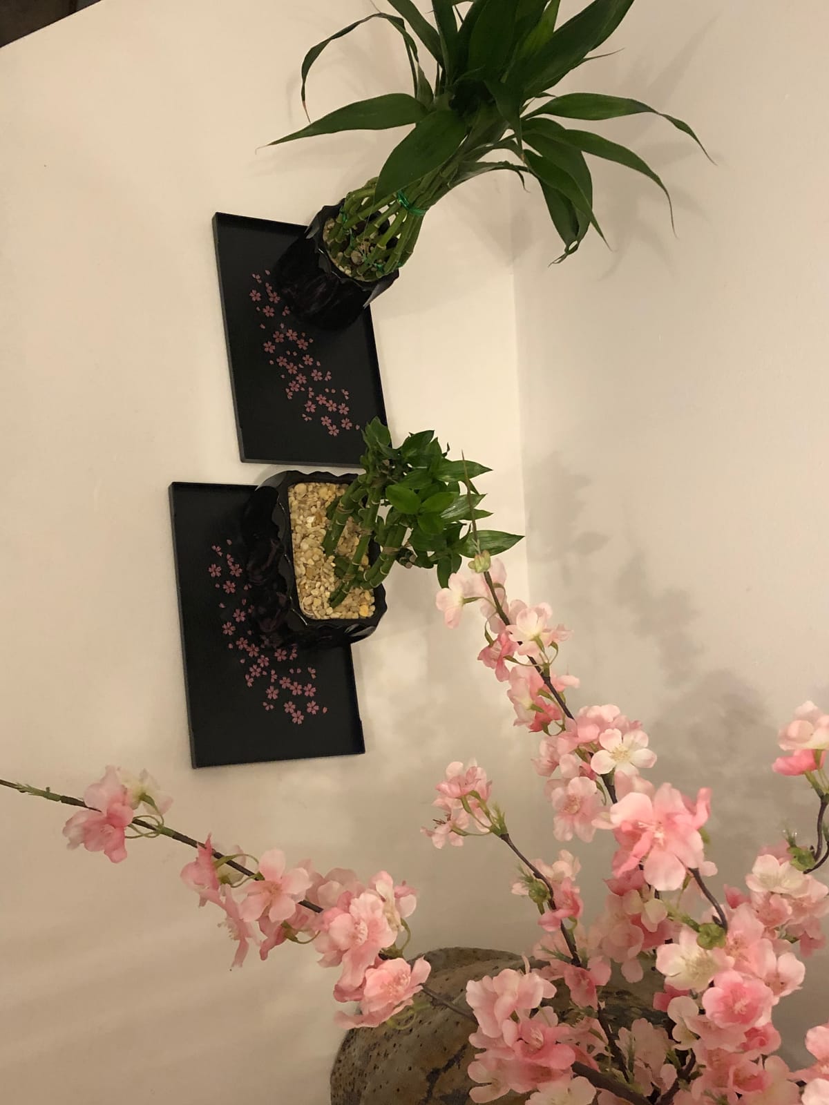 2pack Set, Cherry Blossom Pattern Small Tea Serving Tray, 10 x 6.3inches, Japanese Style, Made in Japan customer photo 1