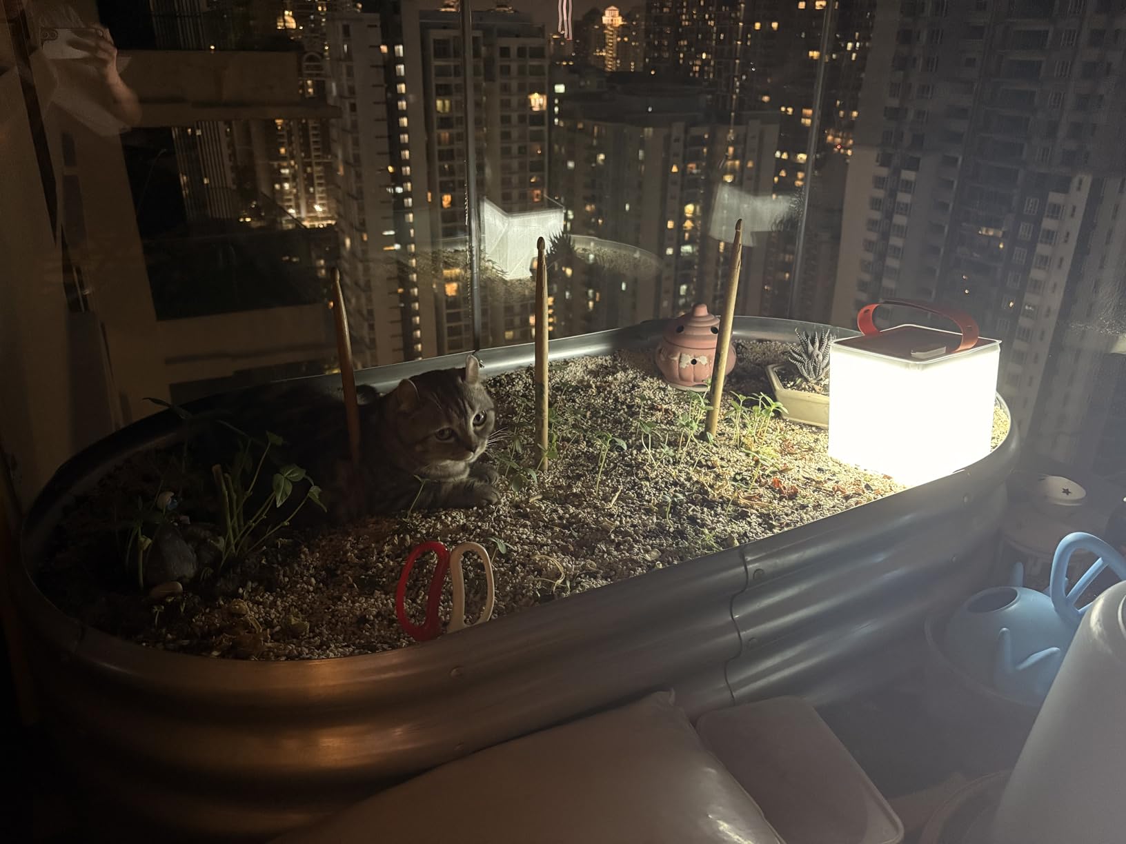 LuminAID Titan Solar+Power Bank customer photo 2