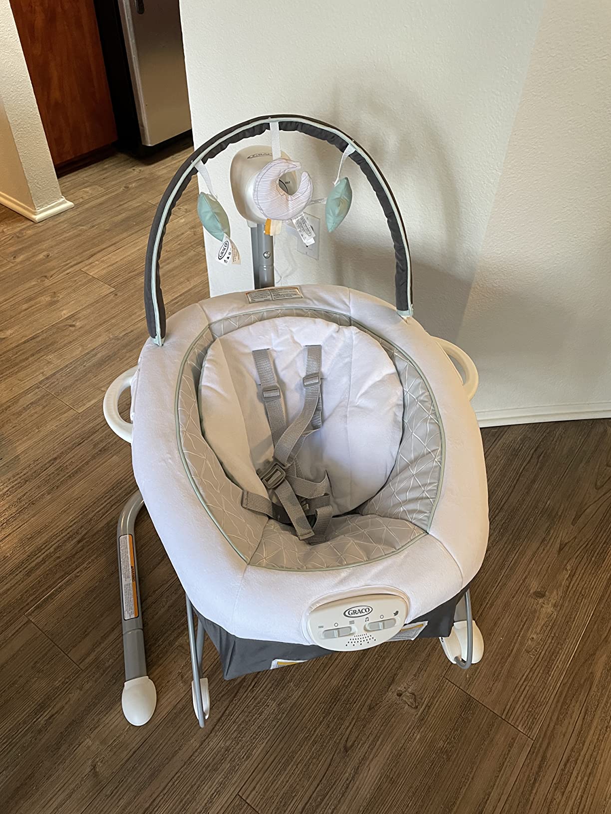 Graco Soothe 'n Sway LX Portable Baby Swing and Baby Bouncer, Multi Direction Seat, 2 Speed Vibration, Derby customer photo 1
