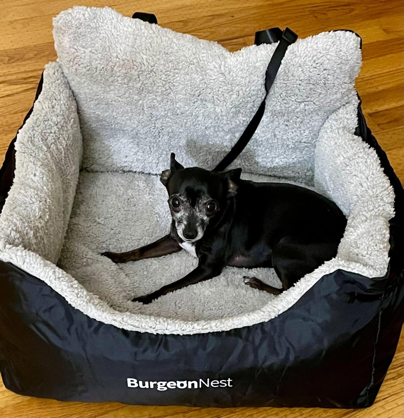 BurgeonNest Dog Car Seat for Small Dogs & Cats Under 25 lbs, Black customer photo 2