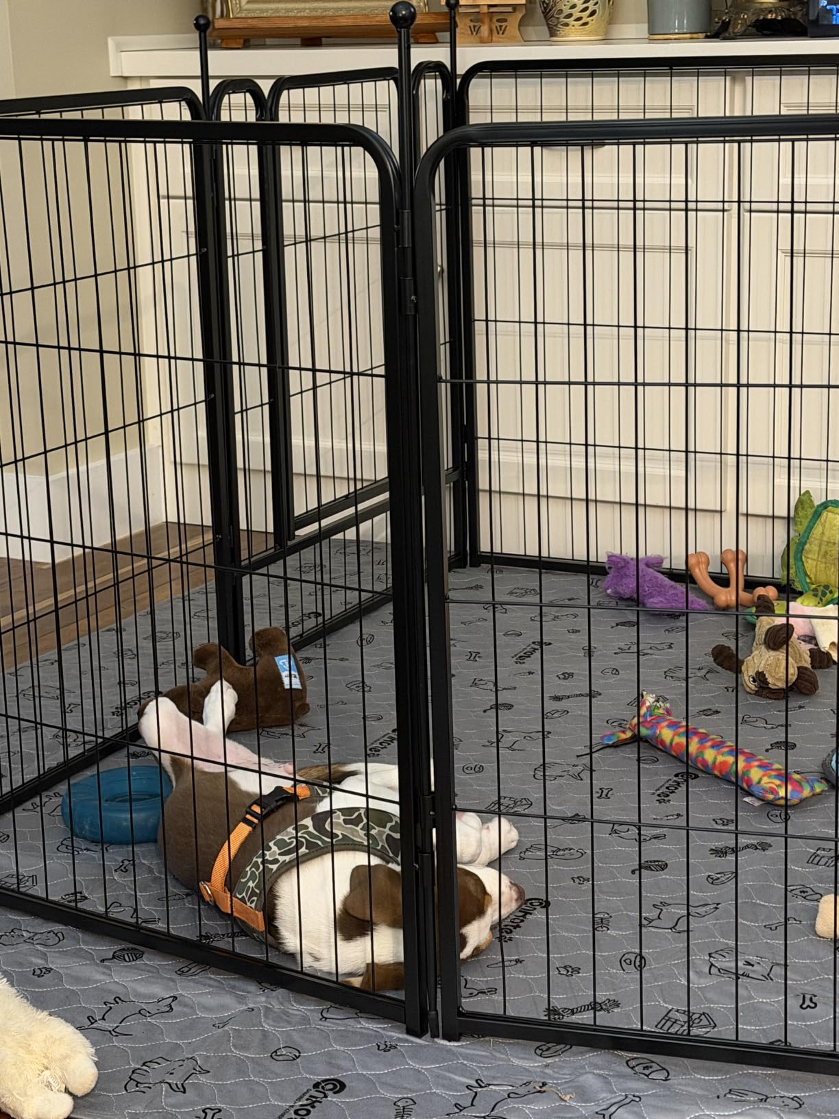 FXW Rollick Unleashed Dog Playpen for Indoor, Yard, RV Camping, 32 inch 8 Panels for Small and Medium Dogs│Patented customer photo 1