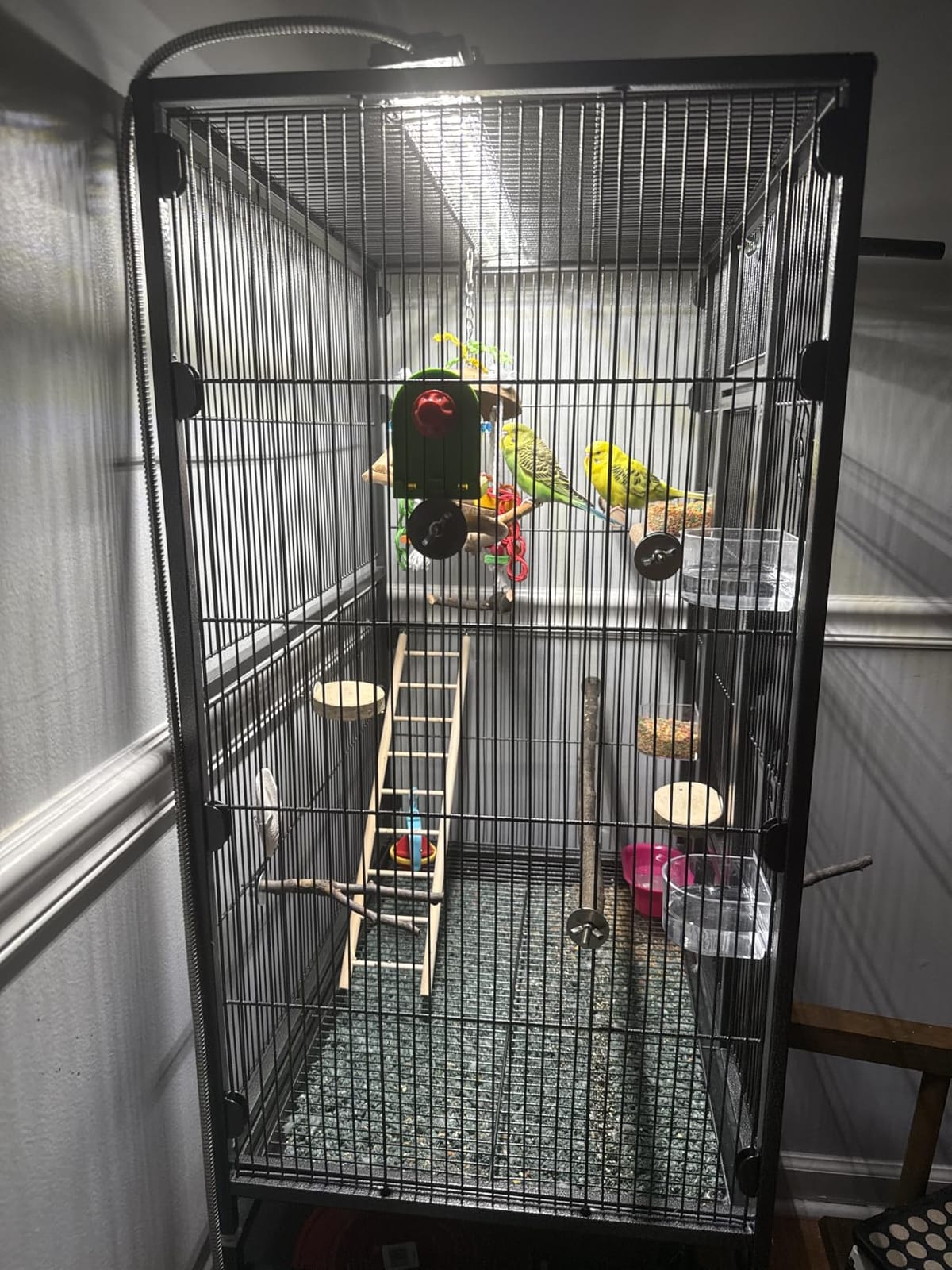 VIVOHOME 54 Inch Wrought Iron Large Bird Cage with Rolling Stand, Bird Flight Cage for Parakeets Canaries Parrot Cockatiels Lovebirds customer photo 1