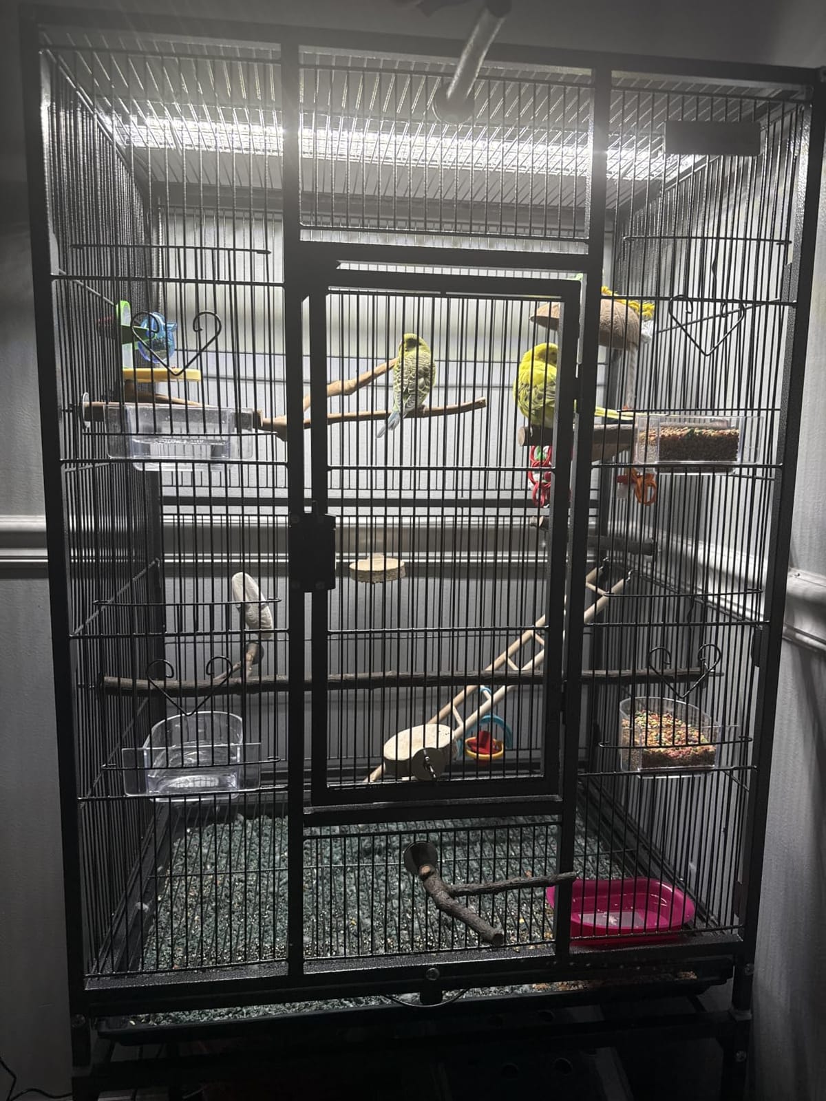 VIVOHOME 54 Inch Wrought Iron Large Bird Cage with Rolling Stand, Bird Flight Cage for Parakeets Canaries Parrot Cockatiels Lovebirds customer photo 2