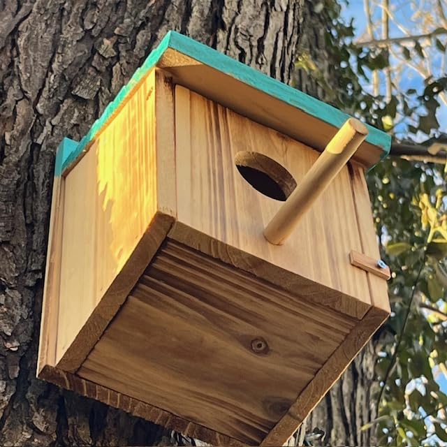 NATUREYLWL Wooden Bird House for Outside, Hanging Natural Wood Birdhouse with Perch, 1.57