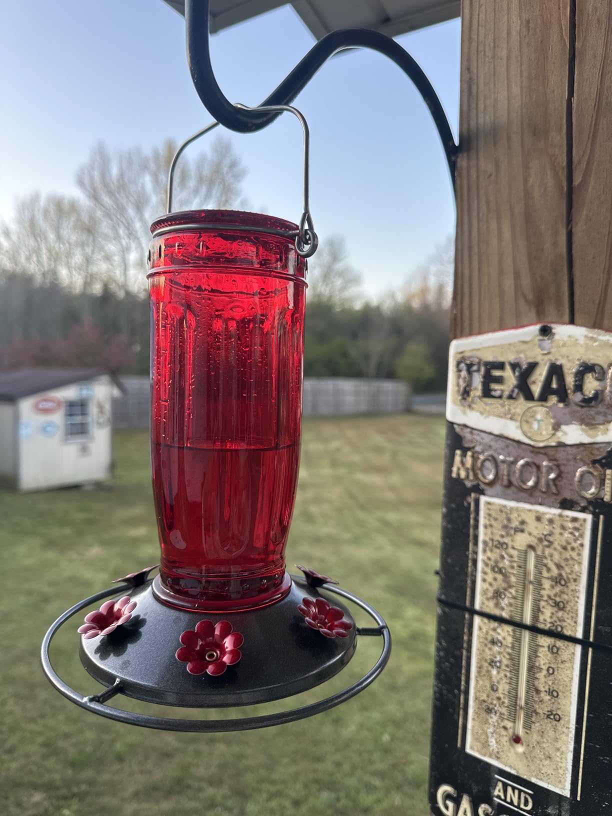 Kingsyard Glass Hummingbird Feeder for Outdoors Wild Bird Feeder with 6 Feeding Ports Hanging for Garden Yard, Red (Ant Moat Included) customer photo 2